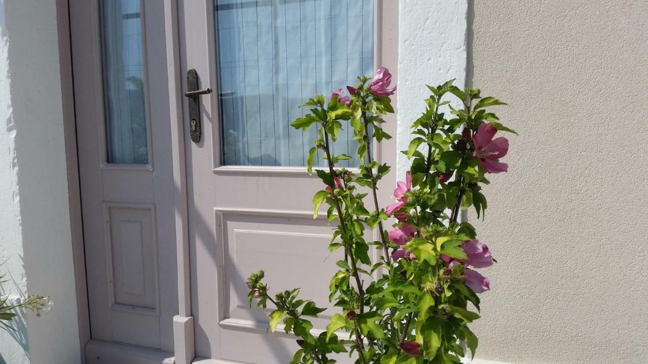 Vila Flora Sečovlje Esterno foto