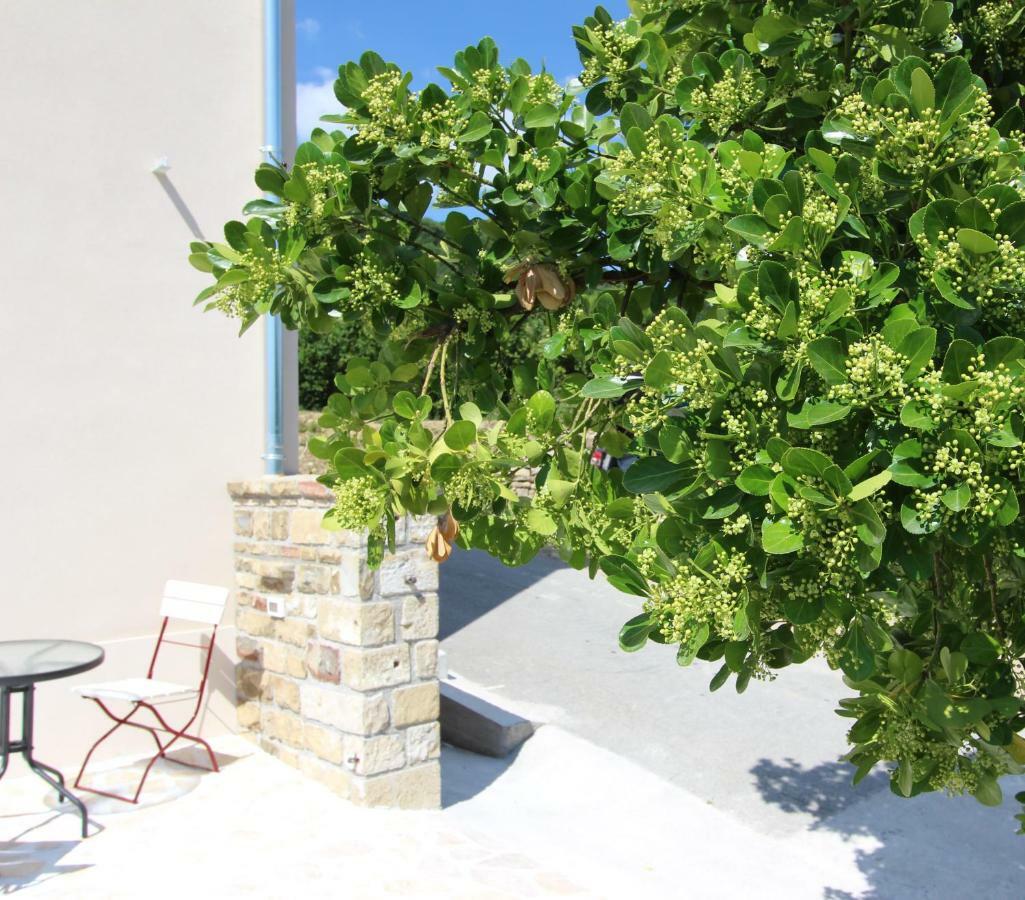 Vila Flora Sečovlje Esterno foto