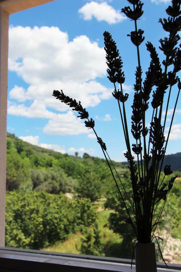 Vila Flora Sečovlje Esterno foto